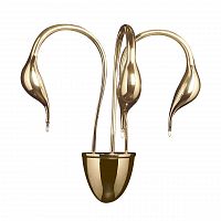 бра lightstar cigno collo 751632 в Севастополе