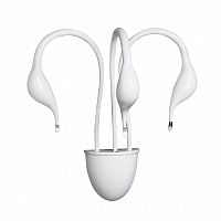 бра lightstar cigno collo wt 751636 в Севастополе