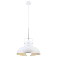 подвесной светильник arte lamp martin a5213sp-1wg в Севастополе