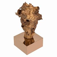 декор burlwood 87 cm в Севастополе