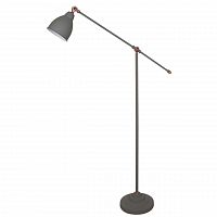 торшер arte lamp braccio a2054pn-1gy в Севастополе