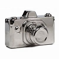 предмет декора camera серебряная в Севастополе