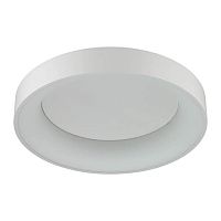 потолочный светодиодный светильник odeon light sole 4062/50cl в Севастополе